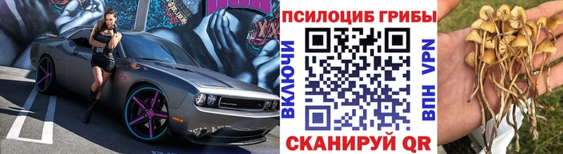 МЕГА онион  Коломна  Галлюциногенные грибы прущие грибы 