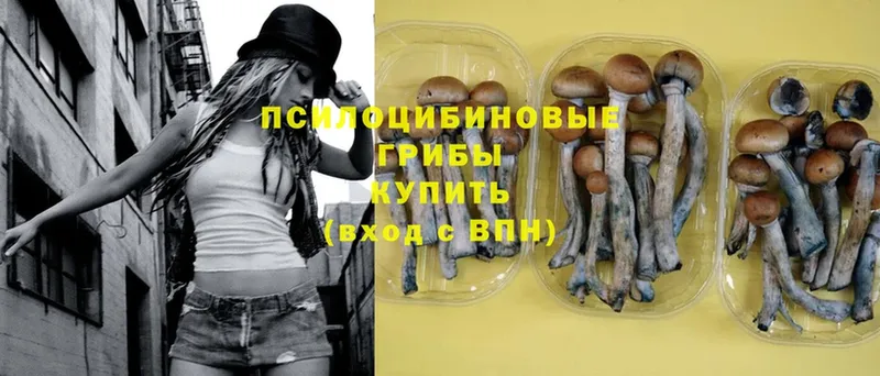 Галлюциногенные грибы Magic Shrooms  Коломна 