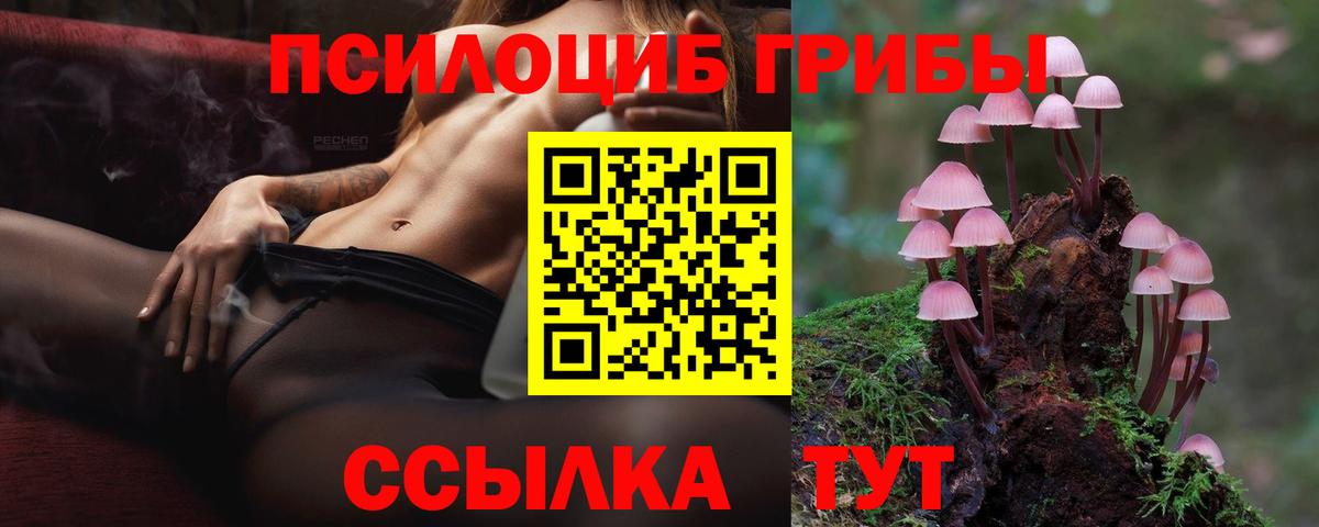 Псилоцибиновые грибы Magic Shrooms Коломна