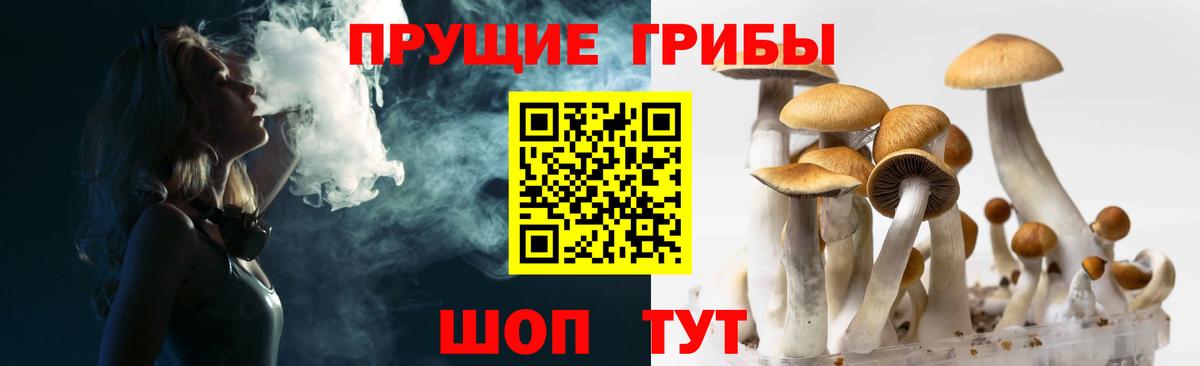 Коломна  Галлюциногенные грибы мицелий  Вход с VPN 